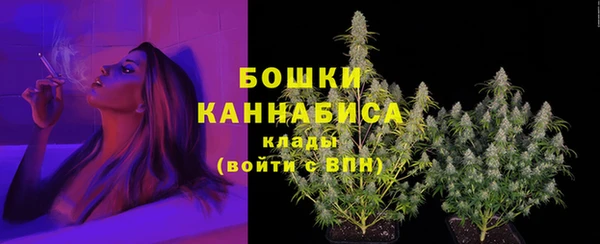 PSILOCYBIN Вязники
