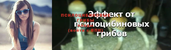 герыч Вязьма