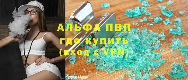 PSILOCYBIN Вязники