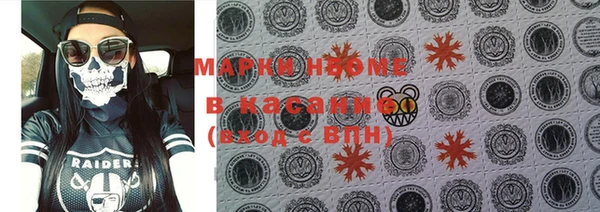 мдпв Горнозаводск