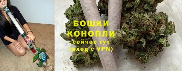 стаф Горняк