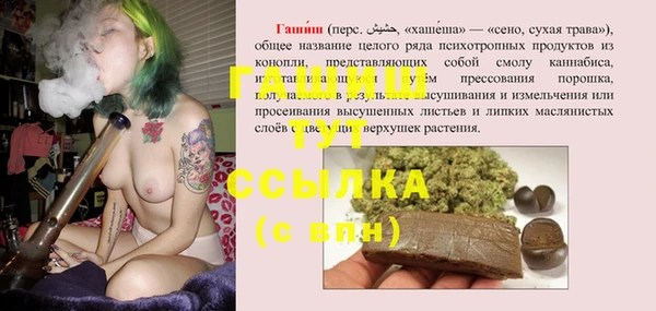 прущие грибы Горно-Алтайск