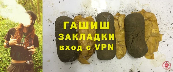 прущие грибы Горно-Алтайск