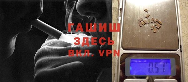 прущие грибы Горно-Алтайск